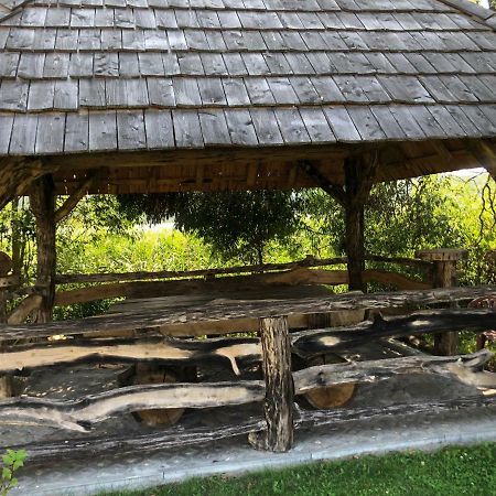 Zielona Dolina Villa Rutka-Tartak Dış mekan fotoğraf